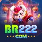 br222 - Gaming Premium